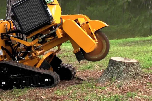 Gold Coast stump grinding