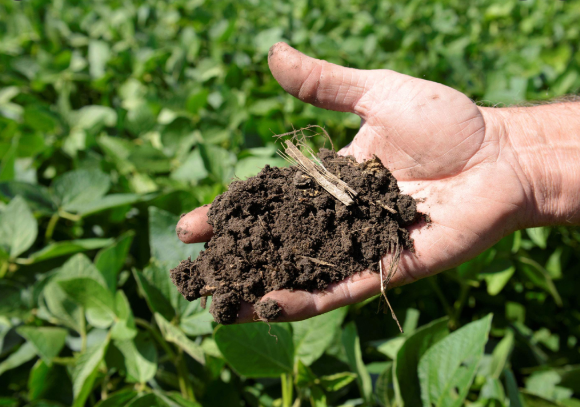 Advantages Associated with the Organic Fertilizers