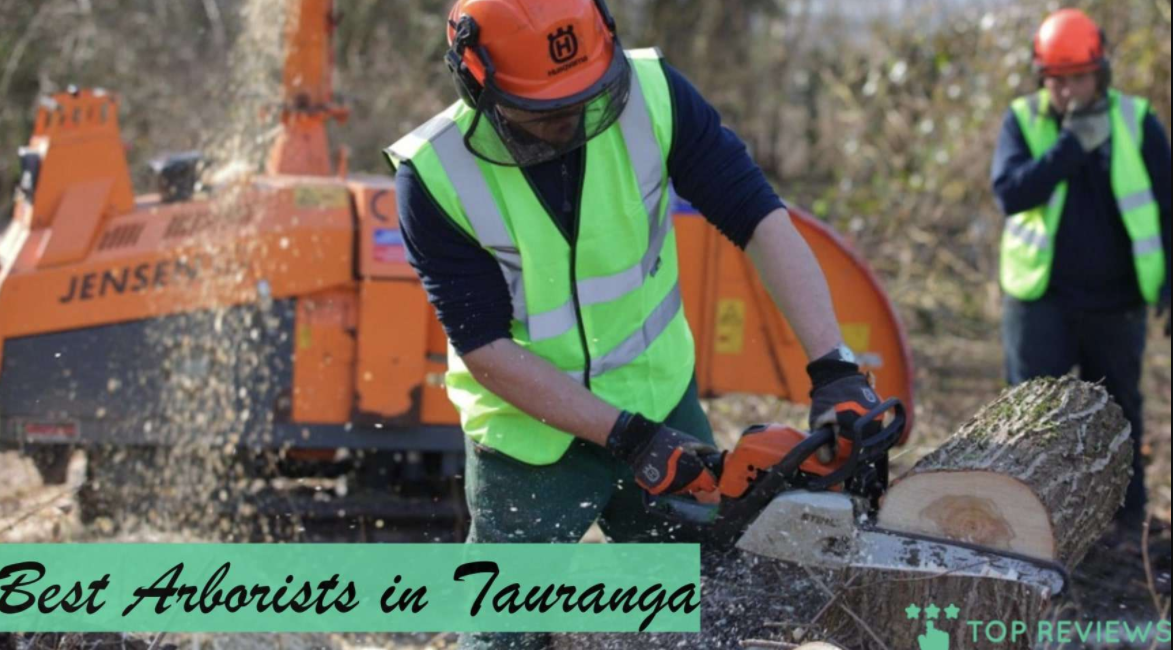 emergency tree services in Waikato