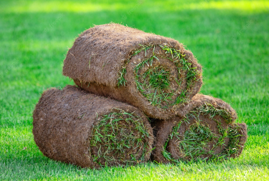 ready lawn