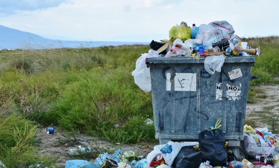 Why is it Beneficial to go for the Services of Small Skip Bin Hire?