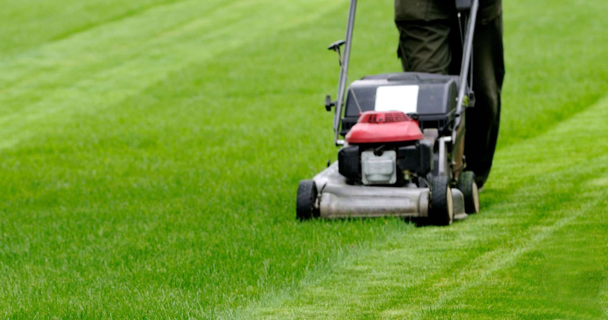 garden maintenance