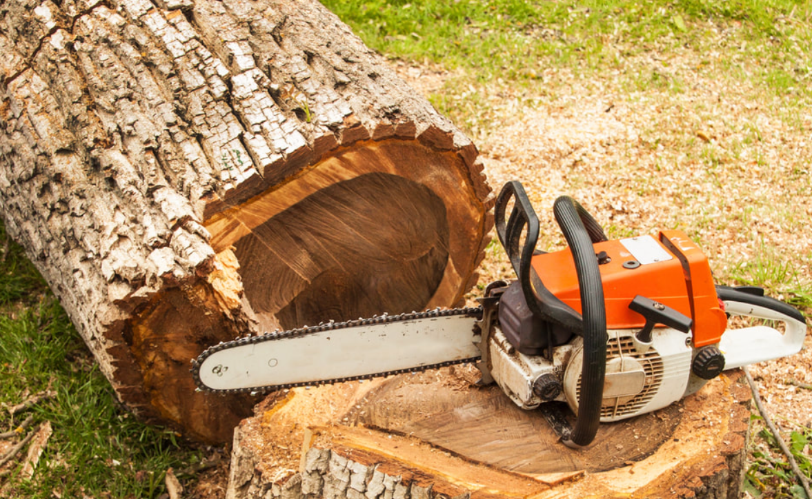 tree services in Brisbane