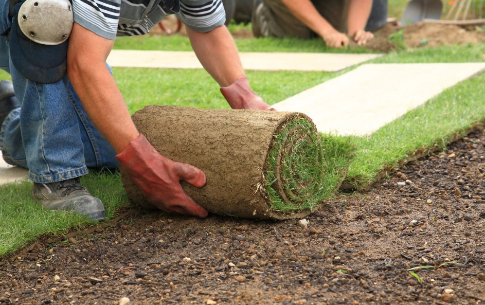 Why Timing Is Important When Preparing Your New Lawn