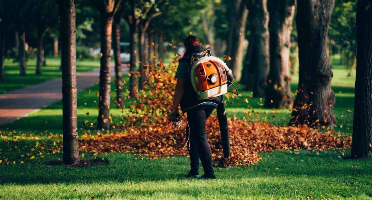 Why Do You Need To Outsource Your Backyard Garden Clean Up Services?