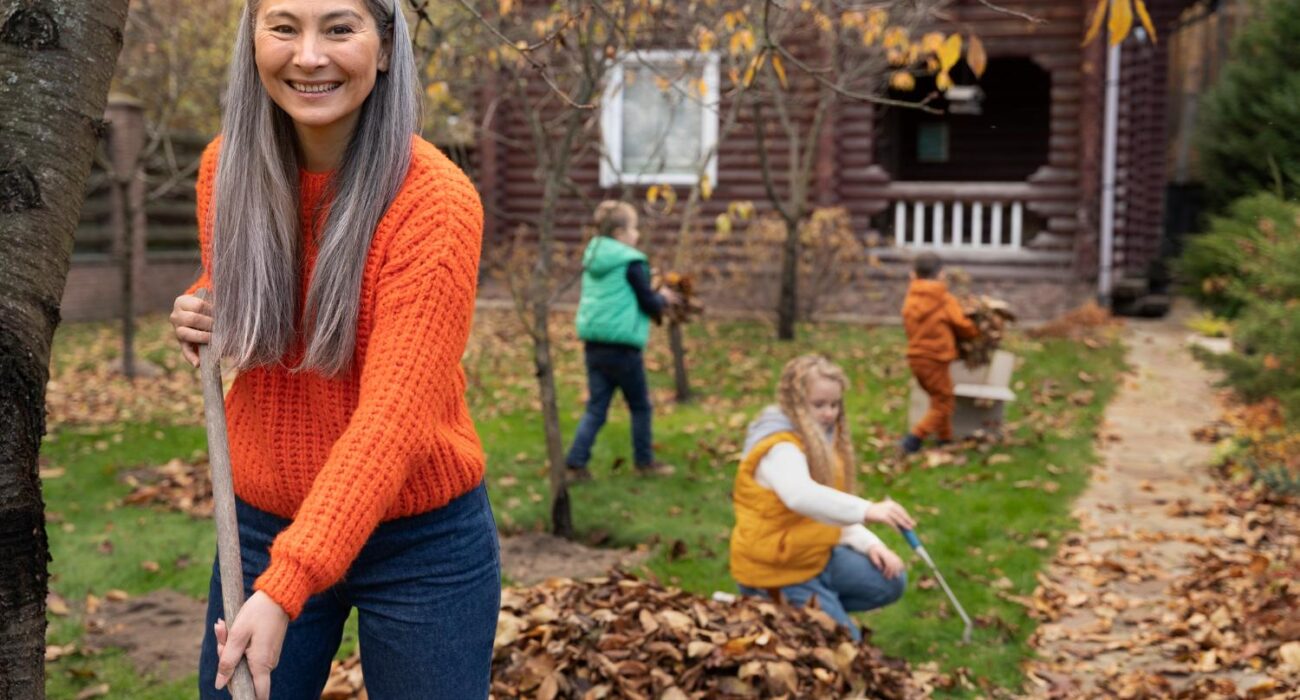 How Professional Garden and Lawn Maintenance Can Boost Your Property Value