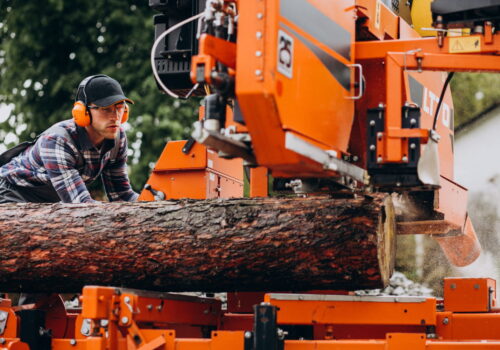 Emergency Tree Removal by Mossy Tree Care: Fast, Safe, and Reliable